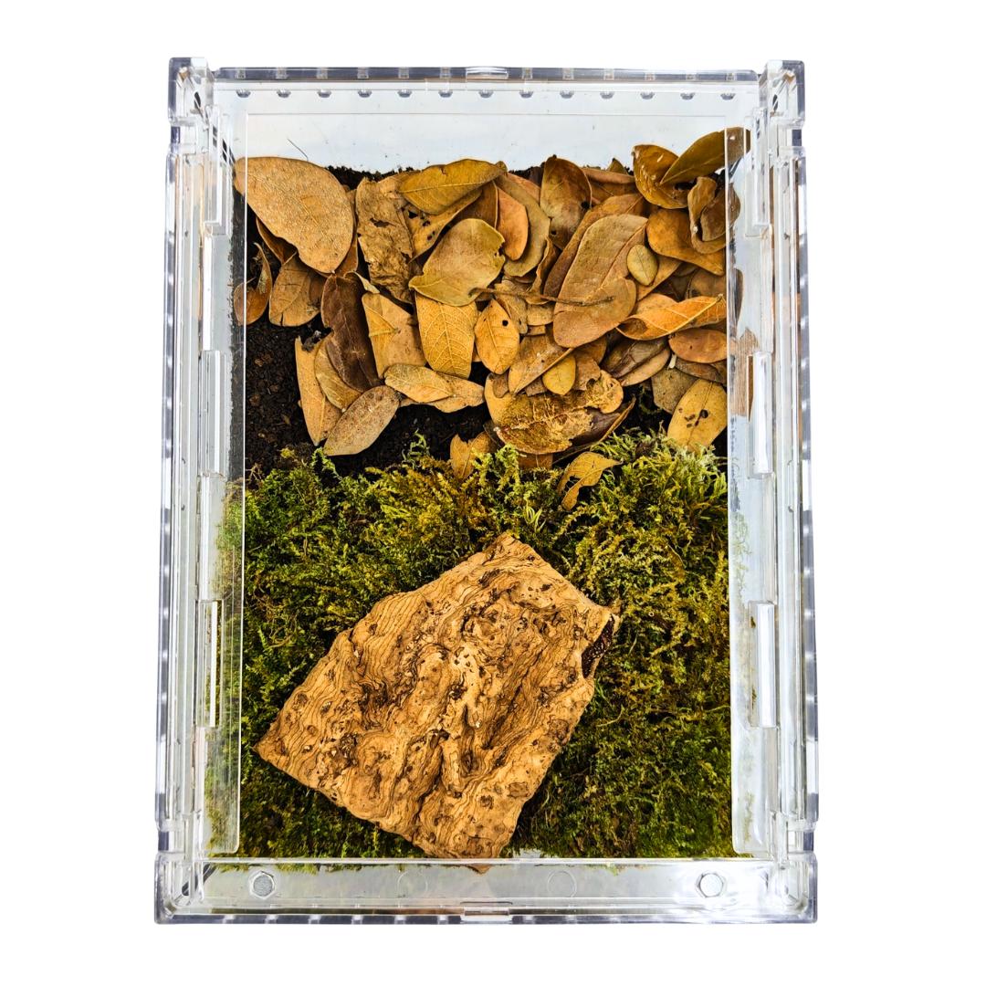 Isopod Terrarium Kit PRO - Small