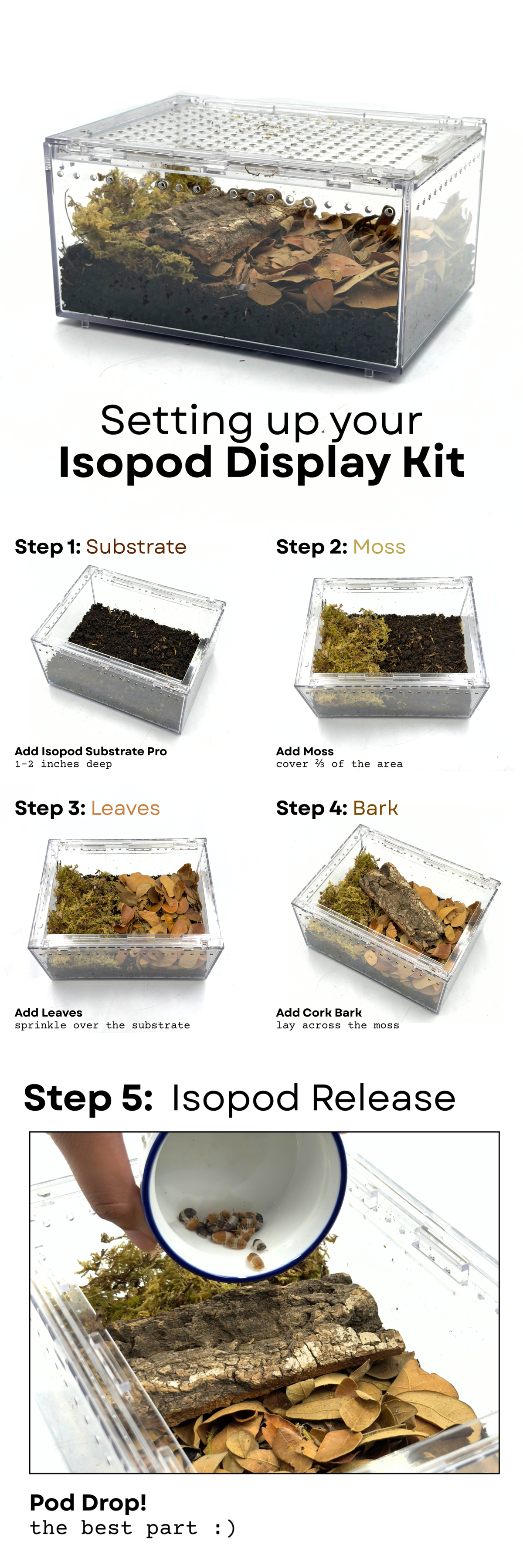 Isopod Display Kit XL