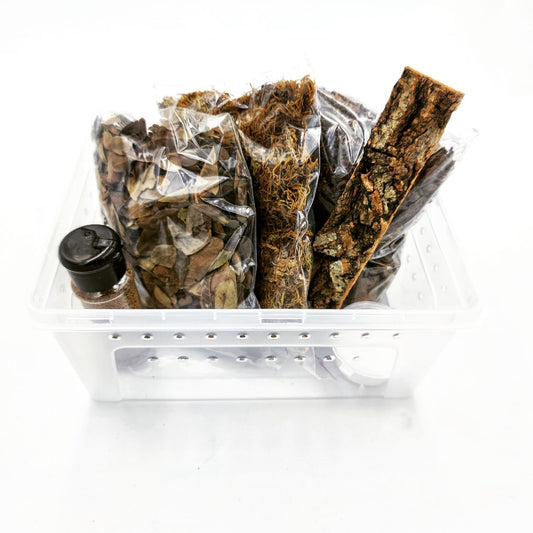 Budget Isopod Terrarium Kit - Small