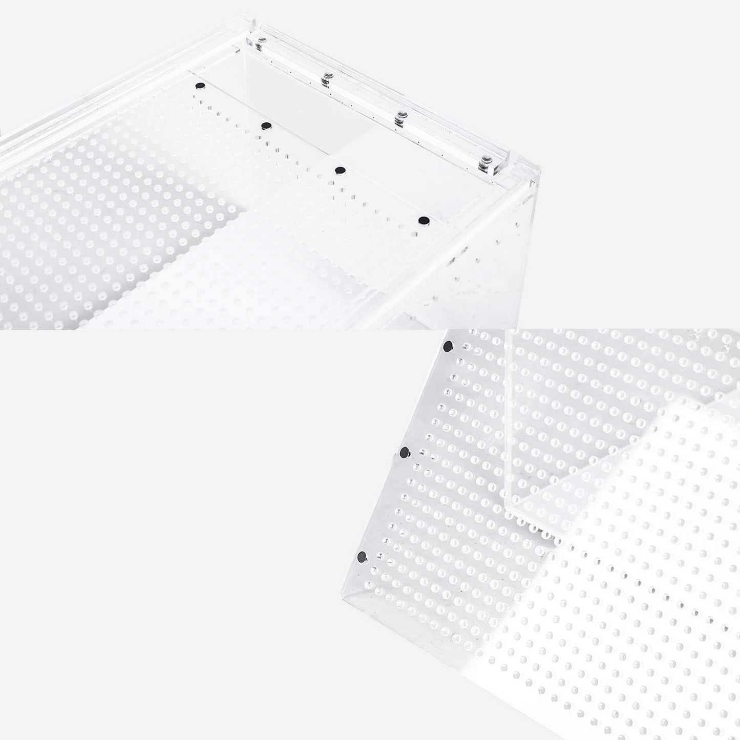 Acrylic Terrarium - Medium