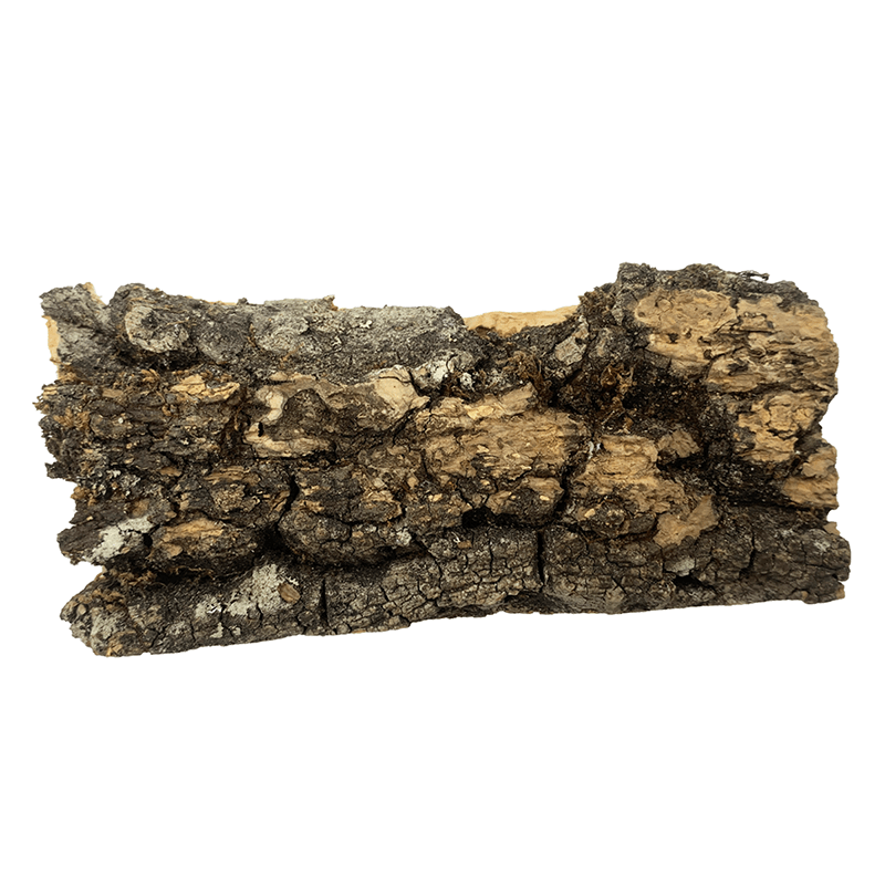 Cork Bark Flat - Weird Pets PH