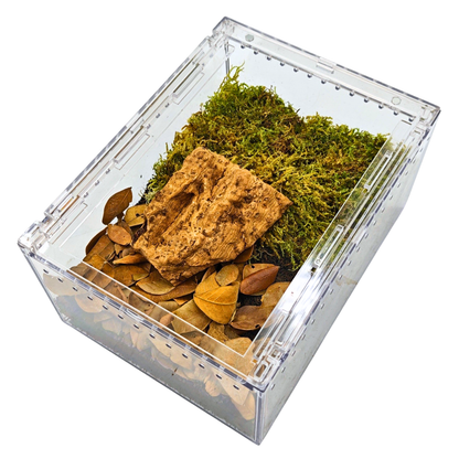 Isopod Terrarium Kit PRO - Small