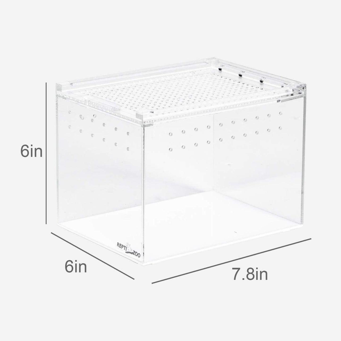 Acrylic Terrarium - Small