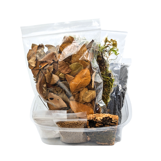 Budget Isopod Terrarium Kit - Micro