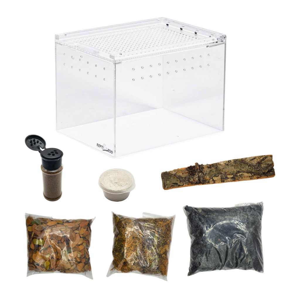 Isopod Terrarium Kit Small Weird Pets PH