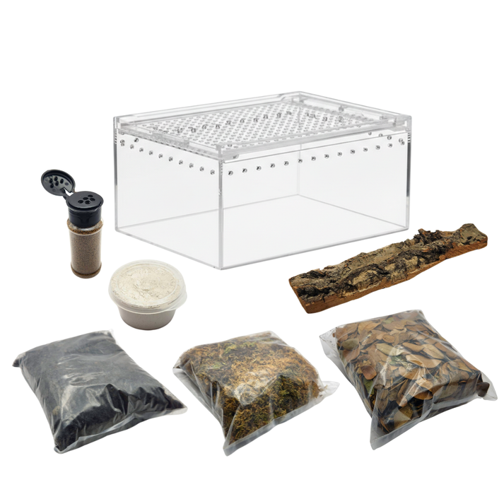 Isopod Display Kit + Rainbow Powders – Weird Pets PH