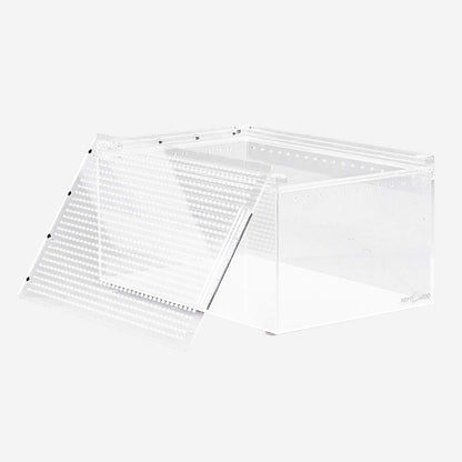 Acrylic Terrarium - Medium