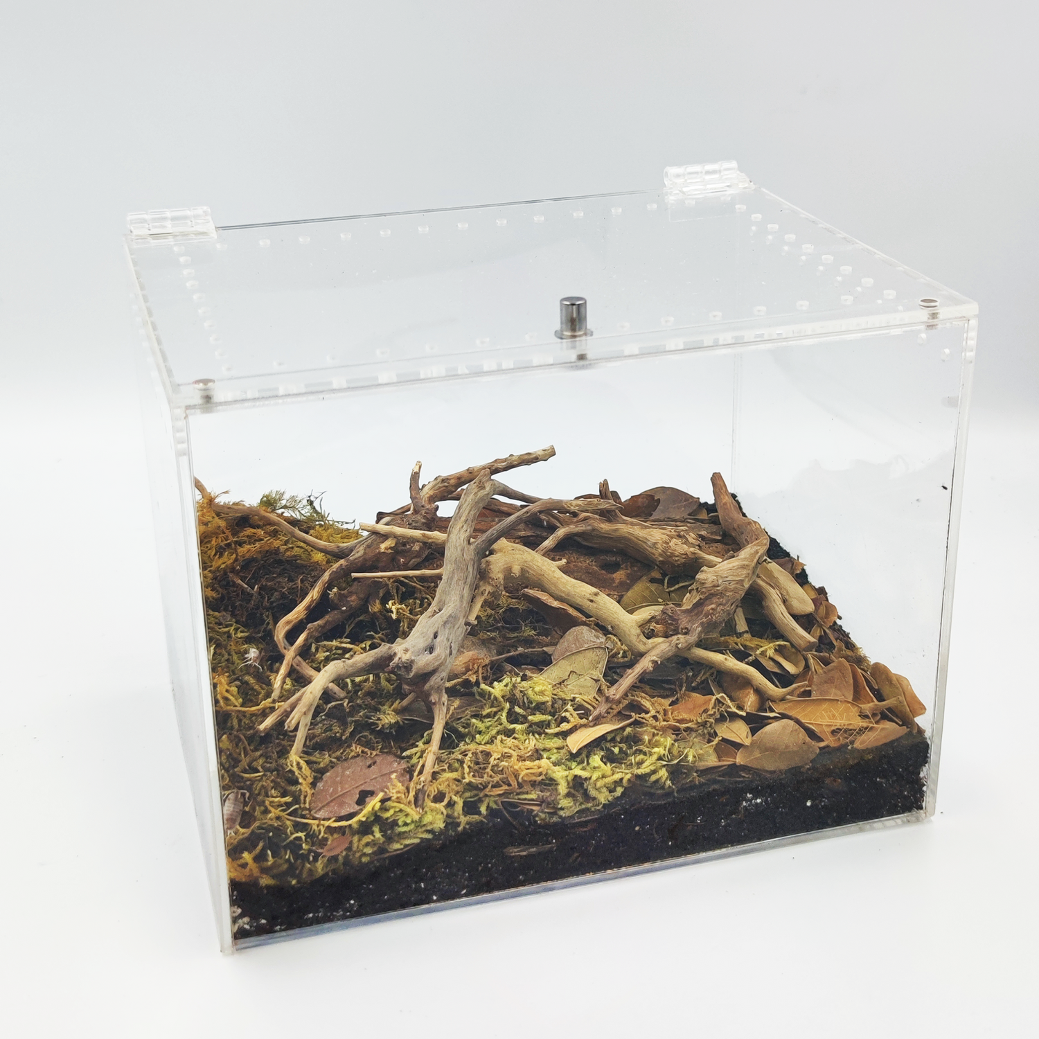 Isopod Terrarium Kit with Setup