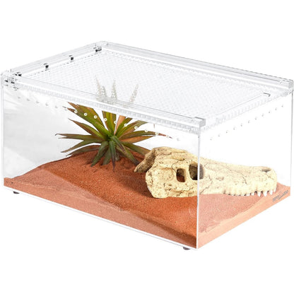 Acrylic Terrarium - Medium